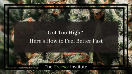 Read more about the article Got Too High? Here’s 6 Ways to Feel Better Fast