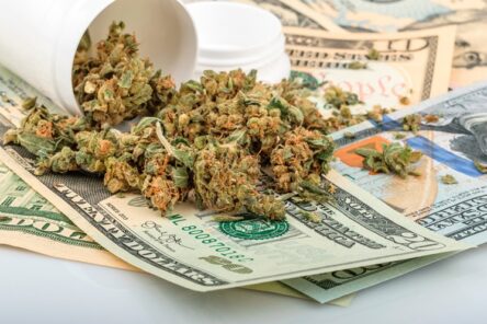 Read more about the article Dispensary Refund/Exchange Policies on Recalls